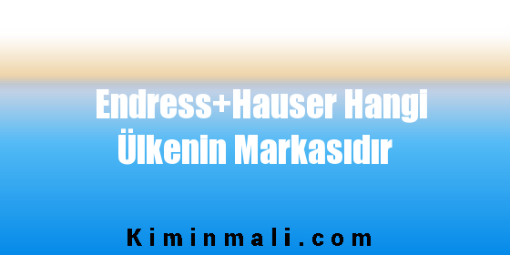 Endress+Hauser Hangi Ülkenin Markasıdır
