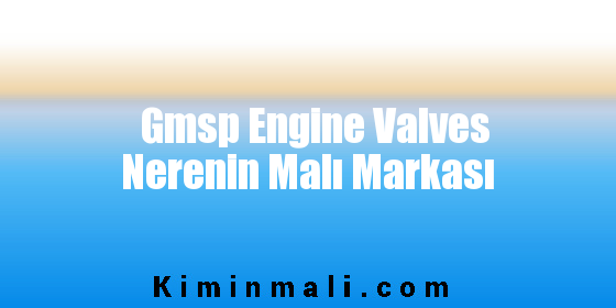 Gmsp Engine Valves Nerenin Malı Markası