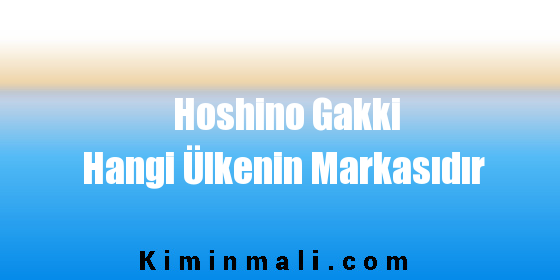 Hoshino Gakki Hangi Ülkenin Markasıdır