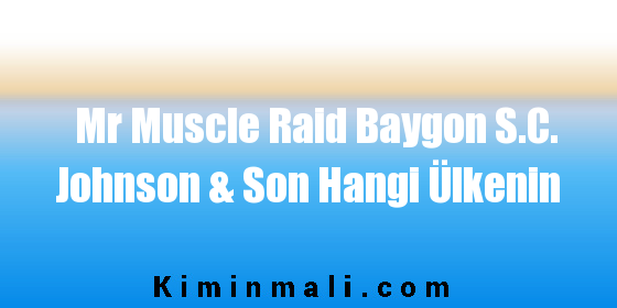 Mr Muscle Raid Baygon S.C. Johnson & Son Hangi Ülkenin