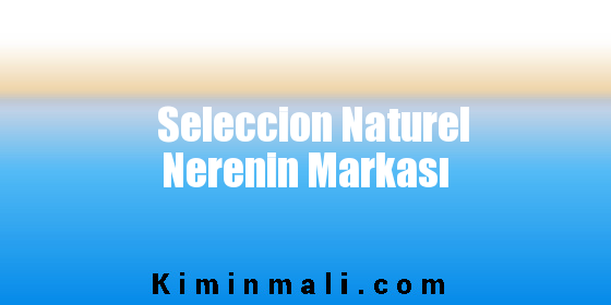 Seleccion Naturel Nerenin Markası