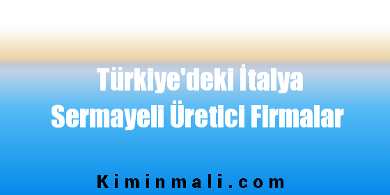 Türkiye'deki İtalya Sermayeli Üretici Firmalar