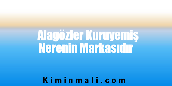 Alagözler Kuruyemiş Nerenin Markasıdır