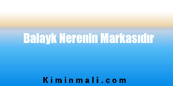 Balayk Nerenin Markasıdır