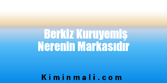 Berkiz Kuruyemiş Nerenin Markasıdır