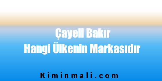 Çayeli Bakır Hangi Ülkenin Markasıdır