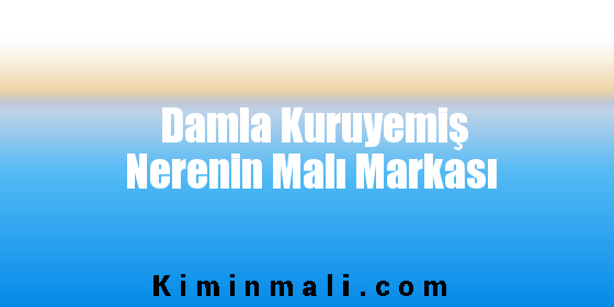 Damla Kuruyemiş Nerenin Malı Markası