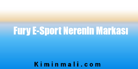 Fury E-Sport Nerenin Markası