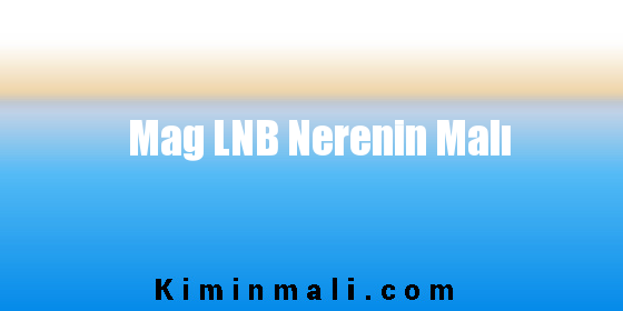 Mag LNB Nerenin Malı