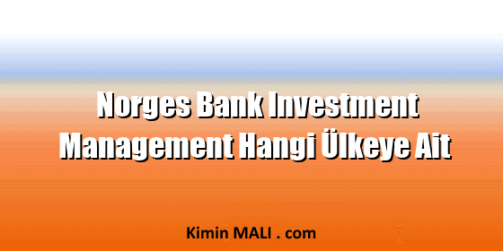 Norges Bank Investment Management Hangi Ülkeye Ait. Public Domain - CC0