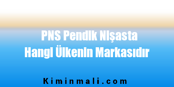 PNS Pendik Nişasta Hangi Ülkenin Markasıdır