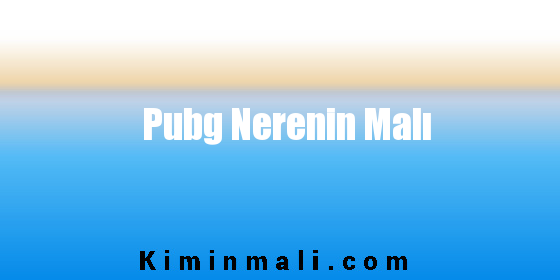 Pubg Nerenin Malı