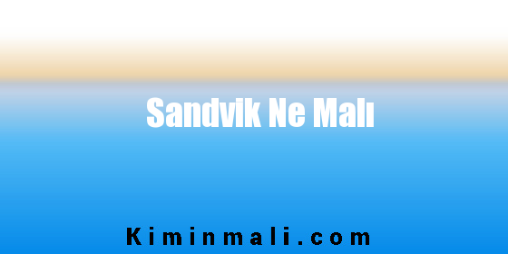 Sandvik Ne Malı