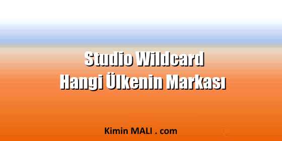 Studio Wildcard Hangi Ülkenin Markası