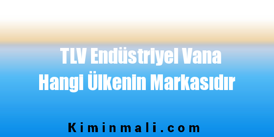 TLV Endüstriyel Vana Hangi Ülkenin Markasıdır