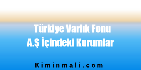 Türkiye Varlık Fonu A.Ş İçindeki Kurumlar